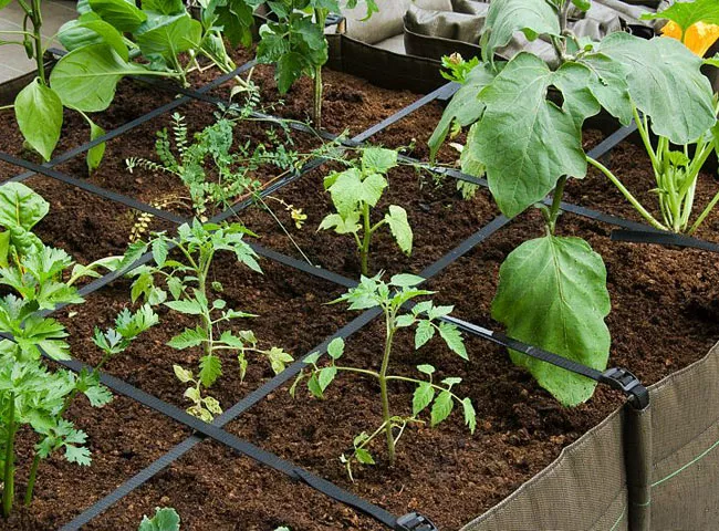 découvrez comment aménager un potager sur votre terrasse, alliant passion pour le jardinage et optimisation de l'espace. cultivez vos propres légumes et herbes aromatiques dans un cadre urbain, même avec un espace limité.