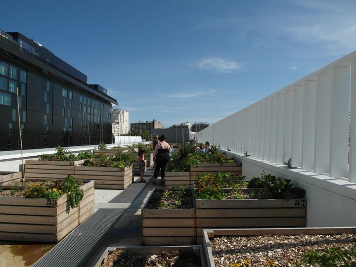 découvrez les avantages d'un potager sur le toit : une solution innovante et écologique pour cultiver vos légumes en milieu urbain. apprenez à créer votre propre oasis de verdure en hauteur, tout en améliorant votre cadre de vie.