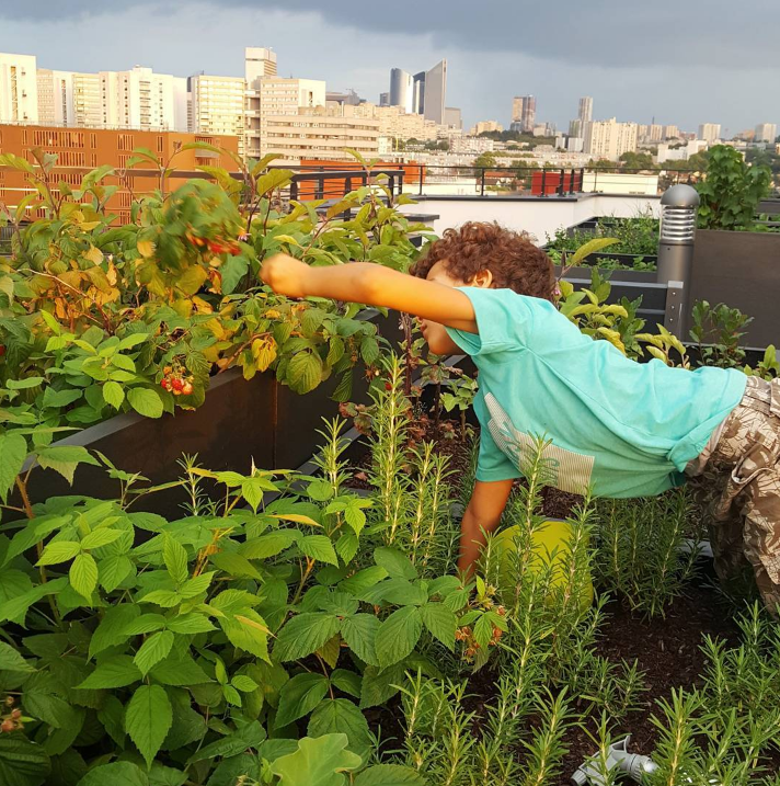 découvrez les avantages et astuces pour créer un potager sur votre toit. transformez votre espace urbain en un jardin productif et écoresponsable, idéal pour cultiver vos propres légumes et herbes aromatiques.