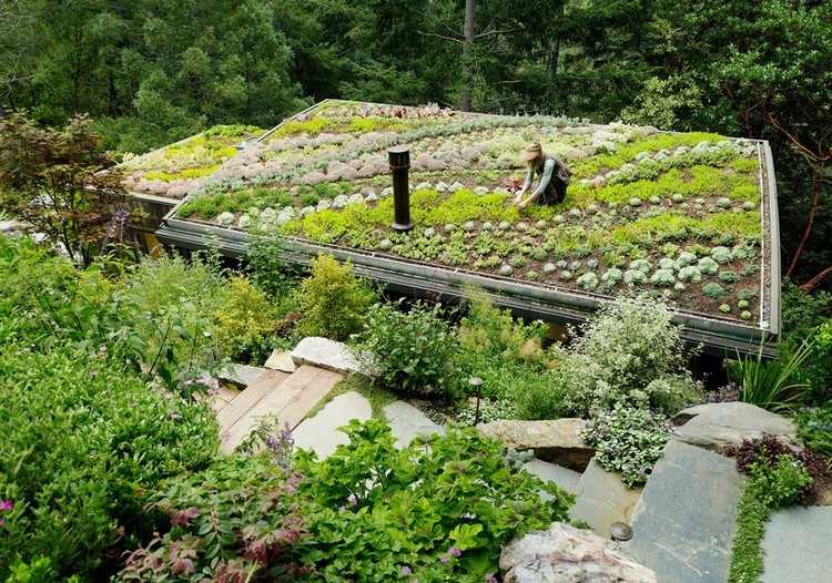 découvrez comment aménager un potager sur toiture pour cultiver vos propres légumes en milieu urbain, tout en maximisant l'espace et en contribuant à la biodiversité. apprenez les meilleures techniques de jardinage en hauteur et les plantes adaptées à votre projet.
