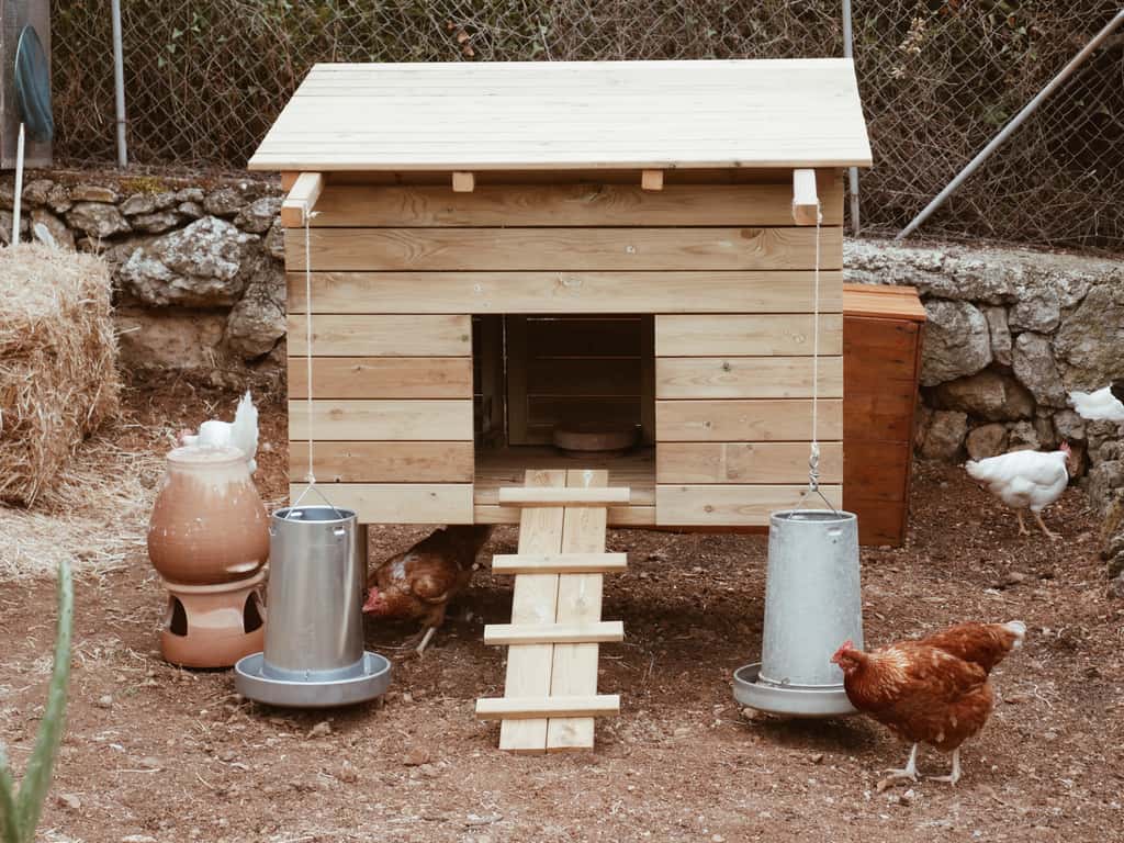 découvrez notre poulailler plat, idéal pour les petits espaces et facile à entretenir. offrez à vos poules un abri confortable et sécurisé tout en optimisant votre jardin. parfait pour les amateurs de jardinage souhaitant allier esthétique et praticité.