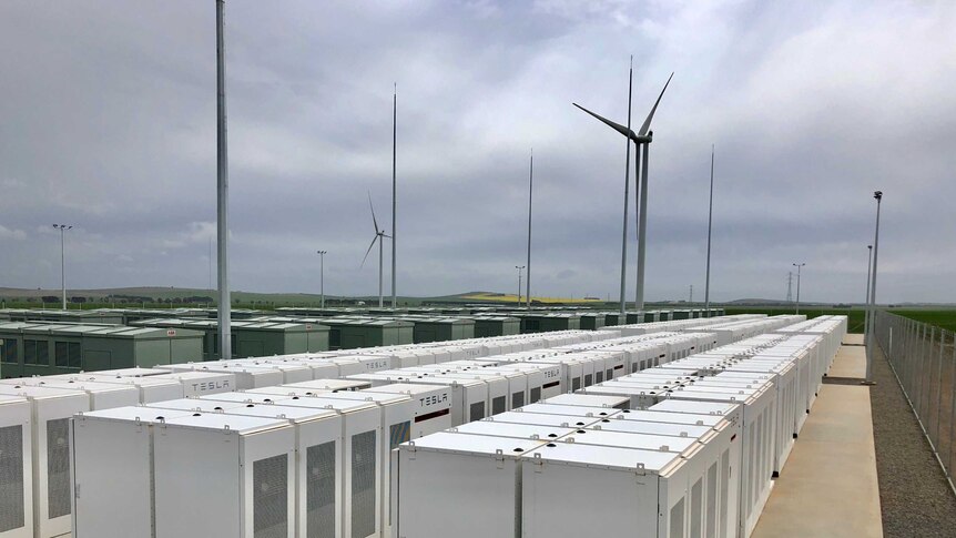découvrez le power pack tesla, une solution de stockage d'énergie intelligente et durable, conçue pour optimiser votre consommation énergétique. idéale pour les foyers et les entreprises, cette batterie révolutionnaire vous permet de gérer efficacement votre électricité, de réduire vos factures et de participer à une planète plus verte. explorez les avantages du power pack tesla dès aujourd'hui !