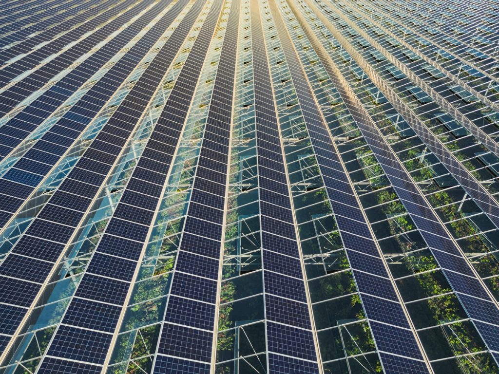 découvrez nos services de préparation d'appels d'offres photovoltaïques pour maximiser vos chances de succès. bénéficiez d'une expertise sectorielle, d'une aide à la rédaction et d'une analyse approfondie des marchés pour optimiser vos propositions et remporter vos projets d'énergie solaire.