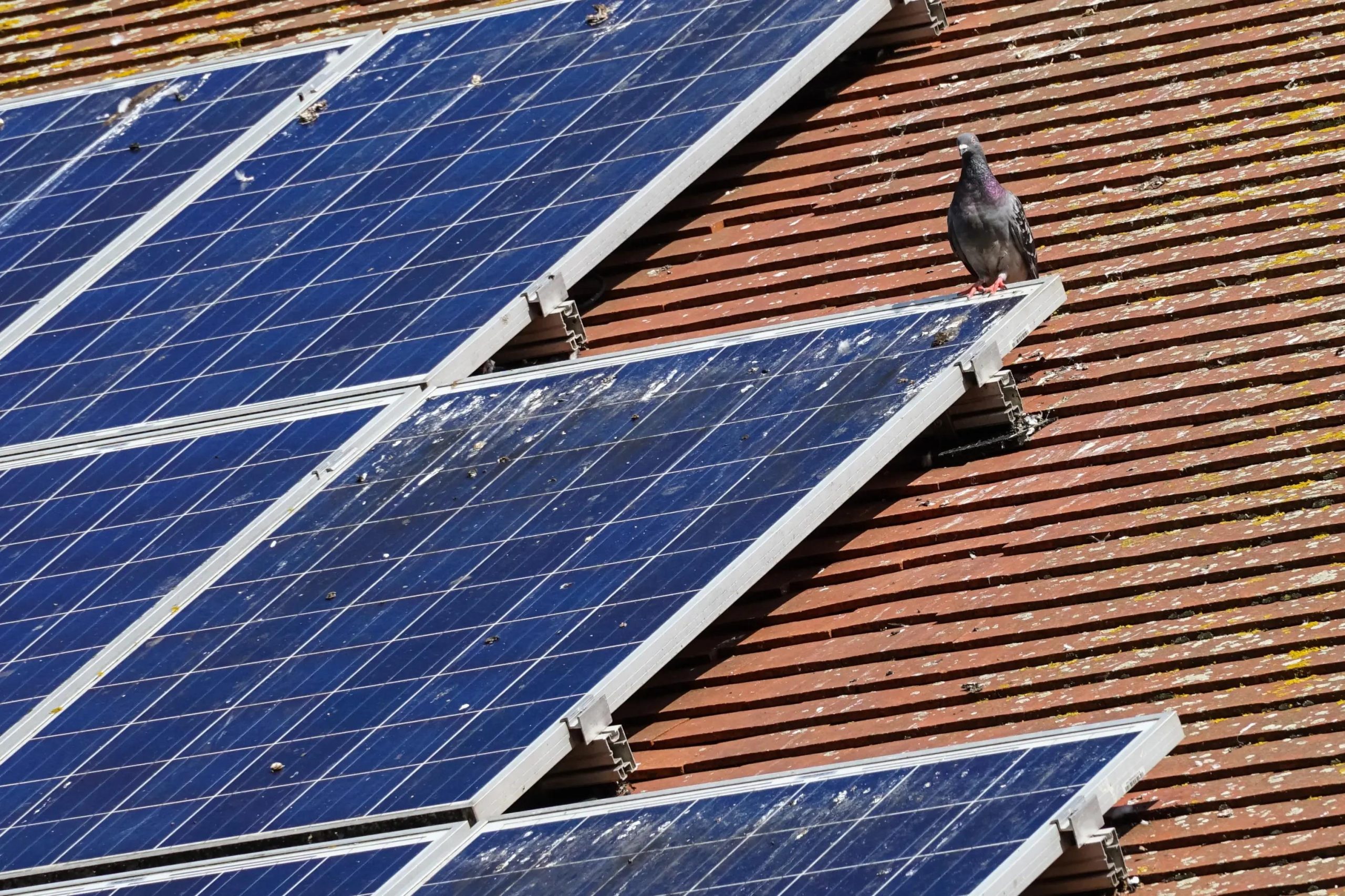 découvrez les meilleures pratiques de prévention pour garantir la durabilité et la sécurité de vos toits photovoltaïques. apprenez à éviter les erreurs courantes et à maximiser l'efficacité de vos installations solaires.