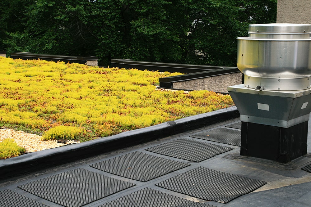 découvrez tout ce qu'il faut savoir sur le prix d'un toit végétalisé. informez-vous sur les facteurs influençant le coût, les avantages environnementaux et les solutions adaptées à votre projet, pour embellir votre espace tout en réduisant votre empreinte carbone.