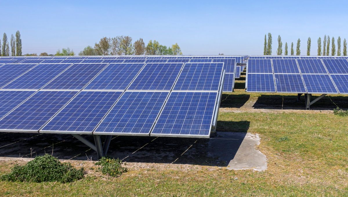 découvrez notre projet photovoltaïque innovant, conçu pour exploiter l'énergie solaire afin de réduire votre empreinte carbone et de réaliser des économies sur vos factures d'électricité. rejoignez la transition énergétique et investissez dans un avenir durable.