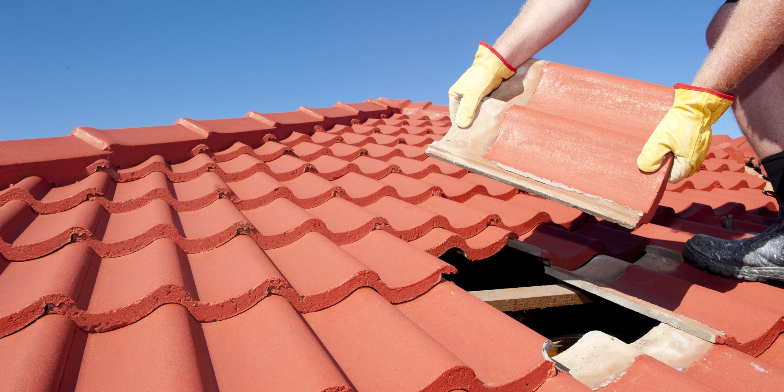 découvrez les meilleures astuces et conseils pour refaire votre toiture en 2025. optimisez la durabilité de votre toit tout en ajoutant une touche moderne à votre maison. obtenez des informations sur les matériaux, les tendances et les coûts pour une rénovation réussie.