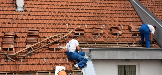 optimisez la longévité et l'esthétique de votre maison avec notre guide sur la rénovation de toiture en 2025. découvrez les dernières tendances, matériaux et astuces pour un toit durable et performant.