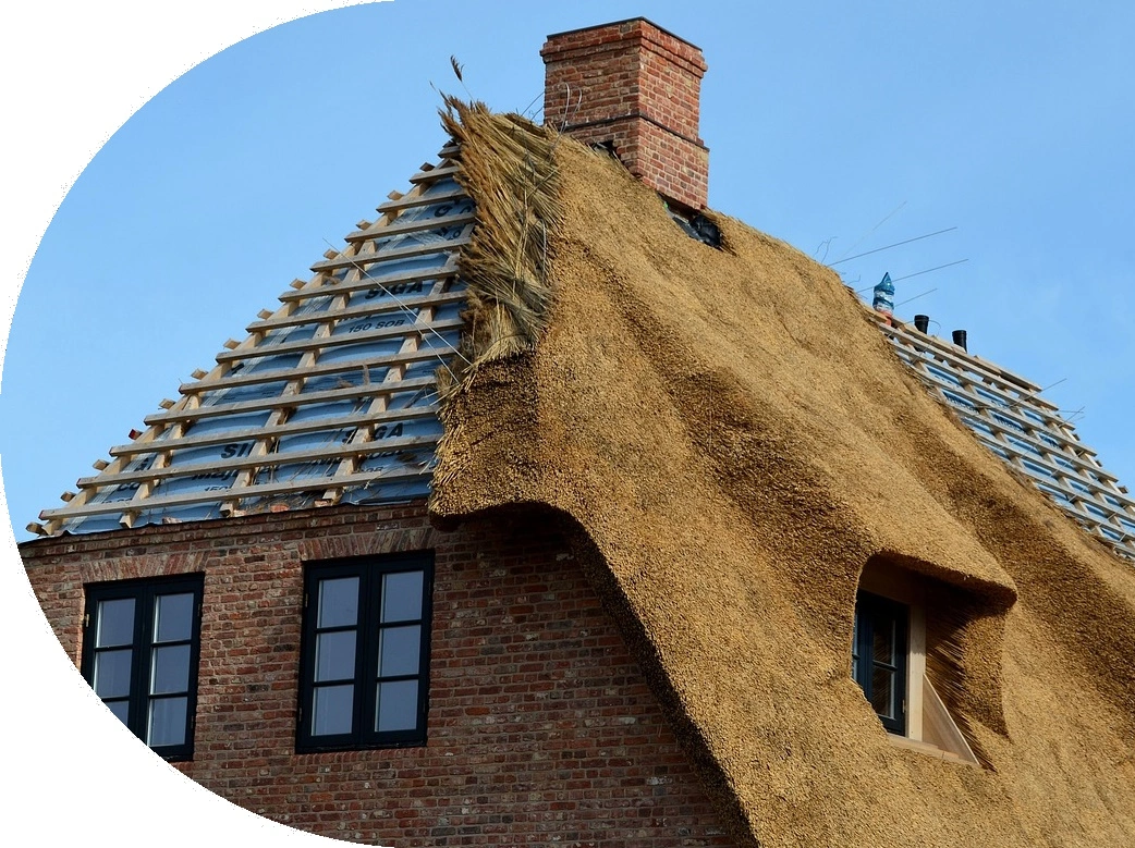 découvrez nos conseils essentiels pour réussir la rénovation de votre toiture. apprenez les meilleures pratiques, les matériaux à privilégier et les étapes à suivre pour assurer une toiture durable et esthétique.