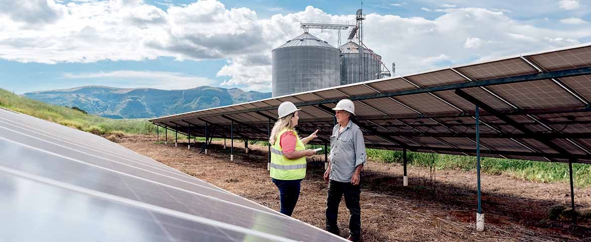 découvrez comment la rentabilité agricole peut être optimisée grâce à l'intégration de solutions photovoltaïques. explorez les avantages économiques et environnementaux de la combinaison agriculture et énergie solaire pour un avenir durable.