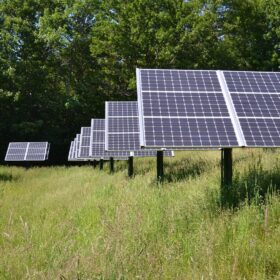 découvrez comment maximiser la rentabilité de votre élevage bovin grâce à l'intégration de solutions photovoltaïques. optez pour une agriculture durable tout en réduisant vos coûts énergétiques et en augmentant vos revenus. informez-vous sur les avantages économiques et écologiques de cette synergie entre élevage et énergie solaire.