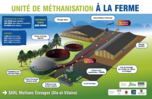 découvrez comment maximiser la rentabilité de vos installations photovoltaïques agricoles. optimisez votre production d'énergie, réduisez vos coûts et contribuez à une agriculture durable tout en générant des revenus supplémentaires grâce à l'énergie solaire.