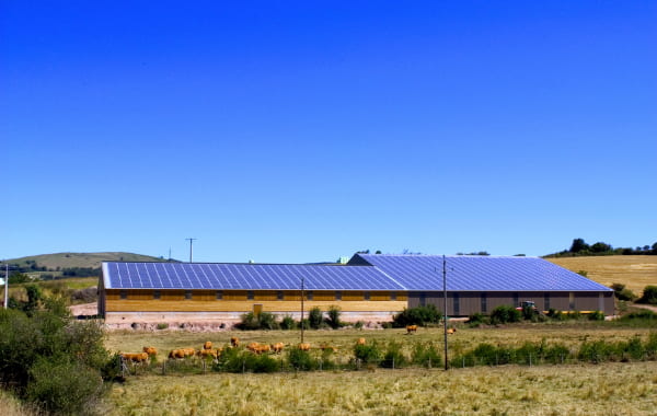 découvrez comment maximiser la rentabilité de vos installations photovoltaïques agricoles. explorez les avantages économiques, les subventions disponibles et les meilleures pratiques pour optimiser votre production d'énergie tout en soutenant la durabilité de votre exploitation.