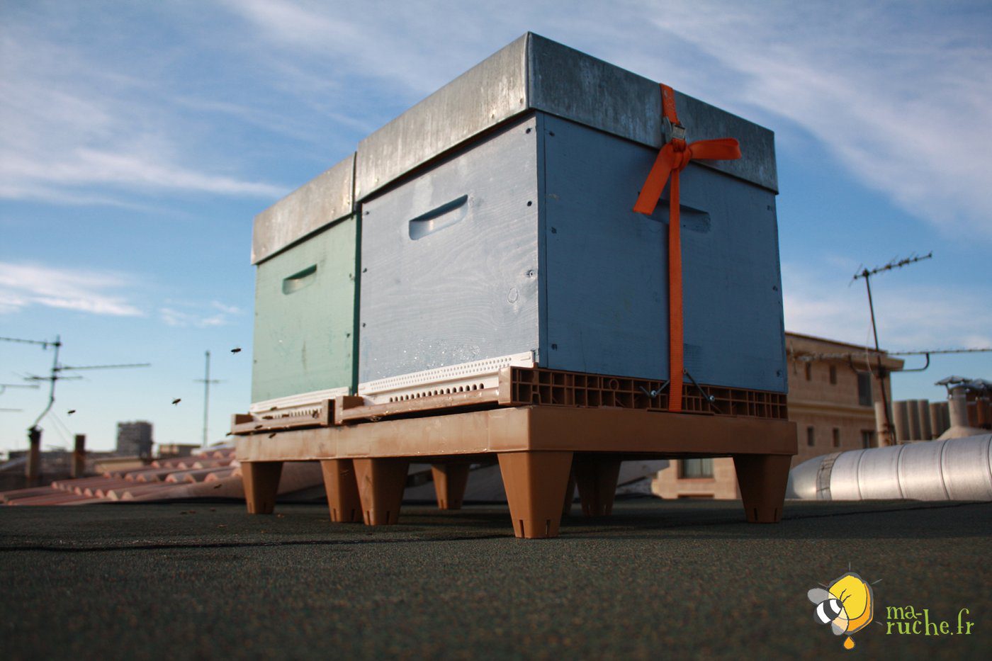 découvrez ruche entreprise, votre partenaire idéal pour dynamiser l'innovation au sein de votre société. nos solutions sur mesure favorisent la collaboration, l'agilité et la performance, tout en cultivant un environnement de travail inspirant. transformez vos idées en succès avec ruche entreprise.