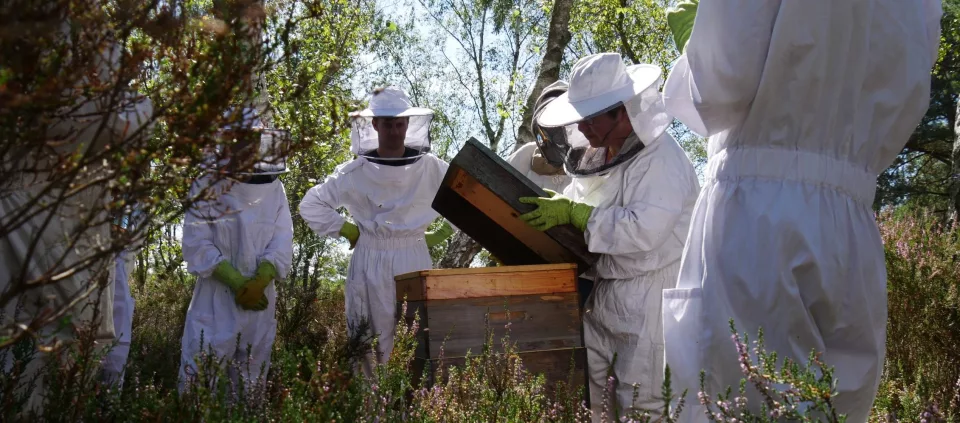 découvrez ruche entreprise, votre partenaire idéal pour booster la collaboration et l'innovation au sein de votre équipe grâce à des outils adaptés et des conseils sur mesure. optimisez votre environnement de travail et favorisez l'intelligence collective!