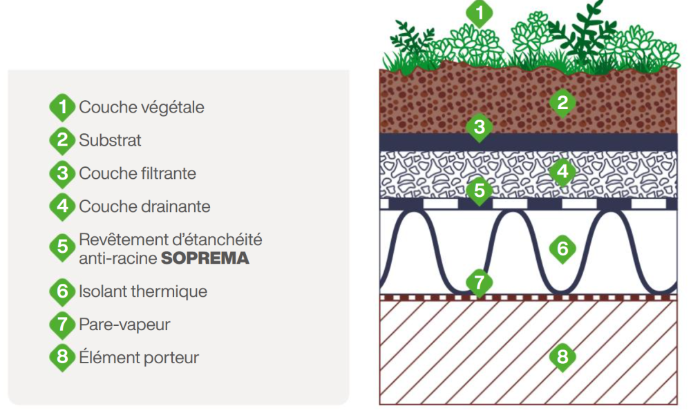 découvrez notre schéma de toit végétalisé, une solution écologique et esthétique pour améliorer l'isolation de votre bâtiment tout en contribuant à la biodiversité. explorez les avantages, les matériaux et les étapes de mise en œuvre pour transformer votre toit en un espace vert innovant.