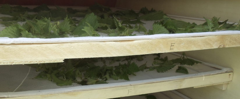 découvrez notre séchoir photovoltaïque, une solution innovante et écologique pour déshydrater vos aliments tout en exploitant l'énergie solaire. efficace, durable et respectueux de l'environnement, il vous permet de préserver la qualité de vos produits tout en réduisant votre consommation d'énergie. optez pour une méthode de séchage moderne qui allie performance et écoresponsabilité.