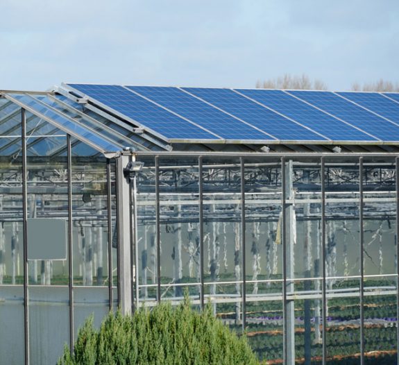 découvrez l'innovation de la serre photovoltaïque, un espace agricole moderne qui combine culture et production d'énergie renouvelable. optimisez vos rendements tout en préservant l'environnement grâce à cette solution durable et efficace.