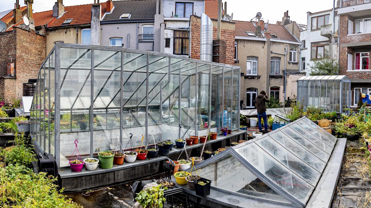 découvrez la serre toit idéale pour cultiver vos plantes toute l'année. profitez d'un espace lumineux et optimisé pour vos cultures, tout en ajoutant une touche esthétique à votre jardin. parfaite pour les jardiniers amateurs et professionnels, notre serre toit garantit des récoltes abondantes et saines.