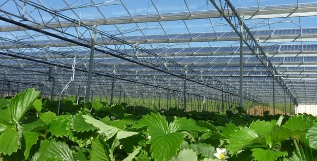 découvrez les services vmh à châtellerault, votre partenaire de confiance pour des solutions adaptées à vos besoins en matière de maintenance, réparation et conseil. profitez d'un service de qualité et d'une expertise locale pour garantir la satisfaction de vos projets.