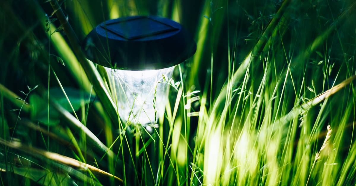 découvrez nos solutions innovantes pour intégrer la terre solaire dans votre jardin. optimisez l'énergie renouvelable et embellissez votre espace extérieur avec des plantes adaptées, des systèmes d'irrigation durables et des aménagements écologiques.
