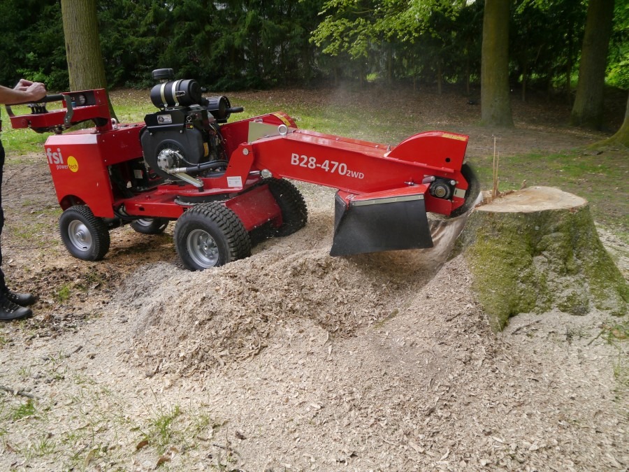 découvrez tout sur les souches, leurs caractéristiques et leurs rôles dans l'écosystème. apprenez comment elles influencent la biodiversité et participent à la décomposition des matières organiques.