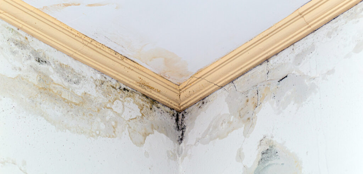 découvrez tout ce qu'il faut savoir sur le sous-toit, un élément essentiel de la toiture qui joue un rôle crucial dans l'isolation et la protection de votre maison. apprenez les différentes options, les matériaux à utiliser et les conseils d'entretien pour assurer la longévité de votre habitation.