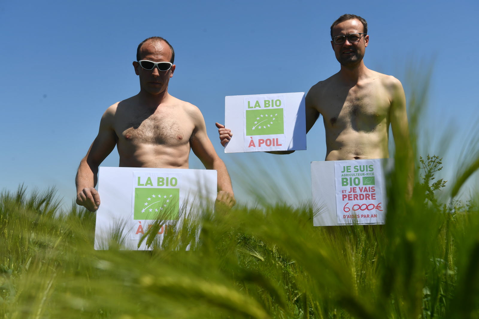 découvrez les subventions disponibles pour soutenir la transition vers l'agriculture biologique. informez-vous sur les aides financières, les critères d'éligibilité et les démarches à suivre pour bénéficier des subventions qui favorisent un agriculture durable et respectueuse de l'environnement.