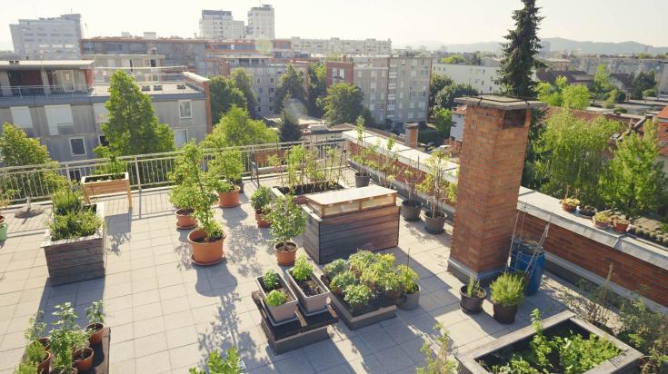découvrez les avantages et le charme d'une terrasse sur le toit. aménagez un espace extérieur unique et profitez de vues imprenables, tout en ajoutant de la valeur à votre bien immobilier. inspirez-vous de nos idées d'aménagement pour créer votre oasis sur le toit.