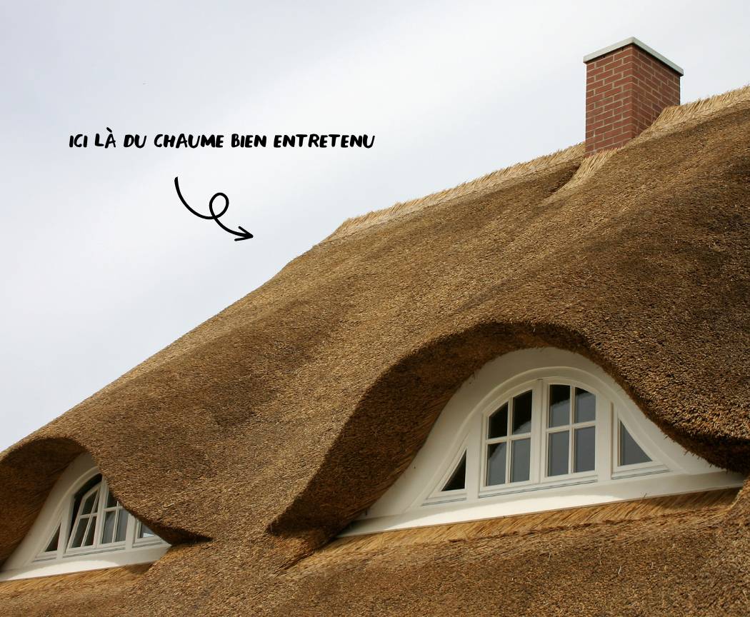 découvrez l'importance d'un toit solide et bien entretenu pour la protection de votre maison. explorez les différents types de toits, leur esthétique et les matériaux adaptés à vos besoins.