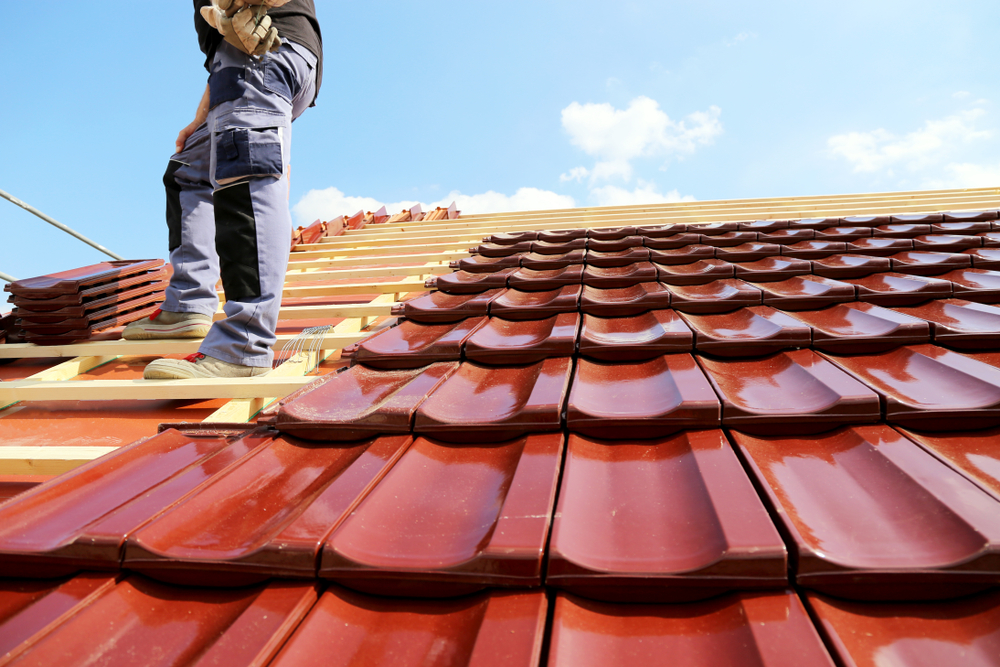 découvrez tout ce qu'il faut savoir sur les toits : types de toiture, matériaux, conseils d'entretien et astuces pour choisir le meilleur toit pour votre maison. protégez votre habitat et améliorez son esthétique grâce à nos conseils d'experts.