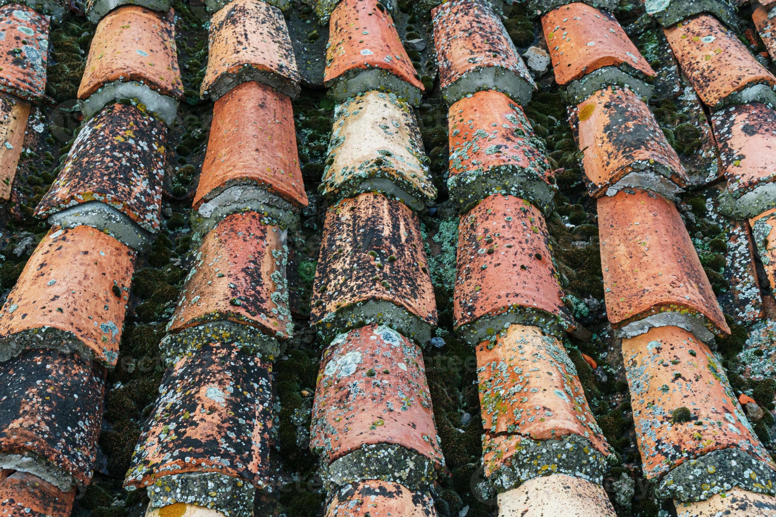 découvrez l'élégance et le charme des toits anciens, témoins d'une architecture riche en histoire. plongez dans l'univers des matériaux traditionnels, des techniques de construction uniques et l'esthétique intemporelle qui font la beauté des bâtiments d'autrefois.