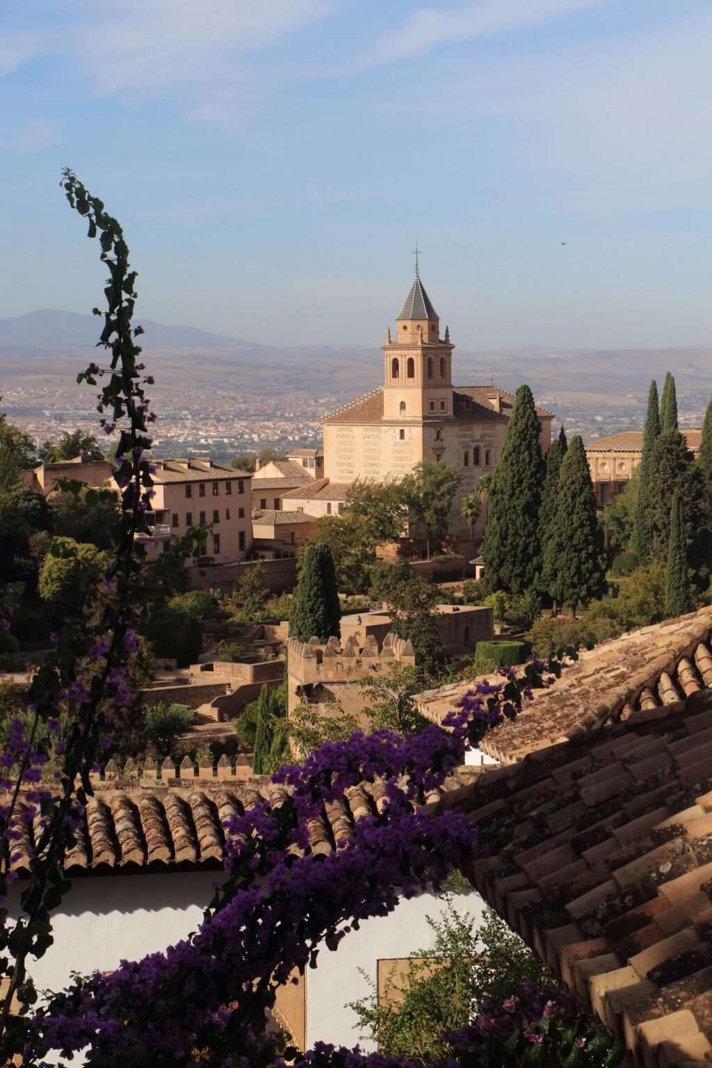 découvrez l'élégance et la richesse culturelle du toit arabe, symbole d'un patrimoine architectural fascinant. explorez les caractéristiques uniques de ces structures emblématiques, qui allient tradition et modernité, tout en offrant une beauté visuelle saisissante.