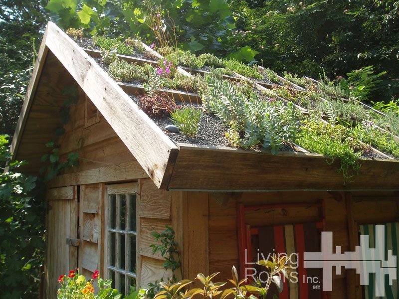 découvrez notre guide sur les toits de cabane : des conseils, des idées de conception et des matériaux pour créer un espace chalet confortable et esthétique. transformez votre rêve de cabane en une réalité durable et accueillante.