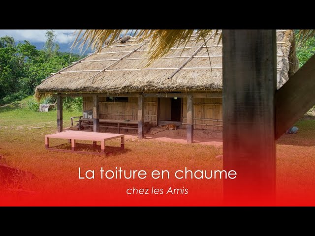 découvrez comment réaliser un toit en chaume vous-même grâce à notre guide étape par étape. transformez votre espace extérieur avec cette technique traditionnelle et durable, tout en apprenant les astuces des experts pour un résultat impeccable.