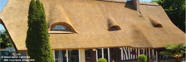 découvrez les avantages du toit de chaume durable : une solution écologique, esthétique et performante pour protéger votre maison tout en respectant l'environnement. apprenez comment ce matériau traditionnel allie confort et durabilité.