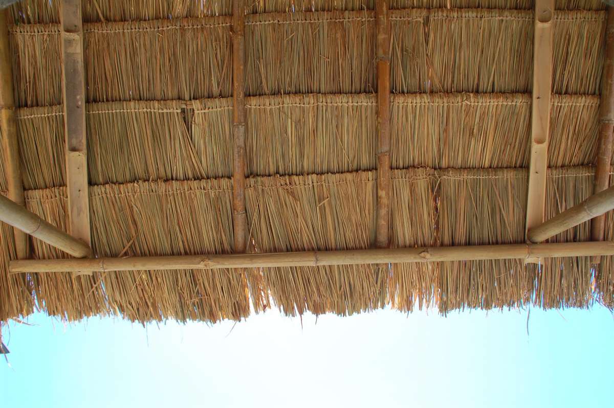 découvrez l'élégance et l'exotisme du toit de palme, une solution durable et esthétique pour vos abris et espaces extérieurs. apportez une touche tropicale à votre jardin ou votre terrasse avec ce revêtement naturel qui allie tradition et modernité.