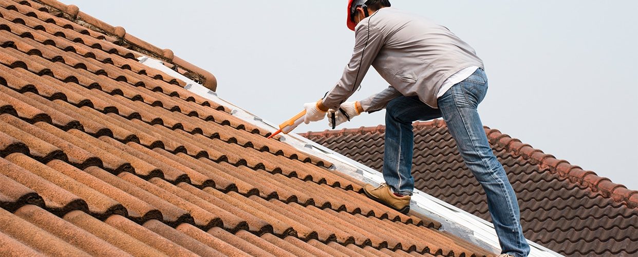 découvrez les avantages d'un toit durable, une solution éco-responsable qui allie longévité, économies d'énergie et protection de l'environnement. optez pour un toit qui résiste aux intempéries et contribue à un habitat sain.