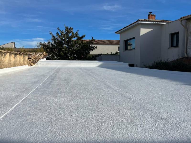 découvrez les avantages d'un toit écolo : une solution durable pour réduire votre empreinte carbone, améliorer l'isolation de votre maison et contribuer à la préservation de l'environnement. optez pour une toiture écologique et faites une différence dès aujourd'hui !