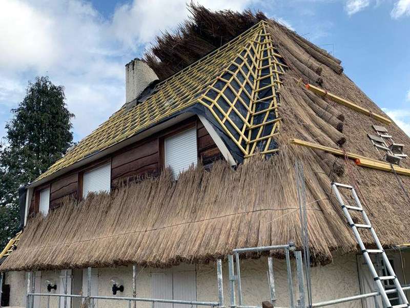 découvrez comment un toit écolo peut transformer votre habitat en un espace durable et respectueux de l'environnement. optez pour des matériaux écologiques et des solutions innovantes pour une toiture à la fois esthétique et performante.