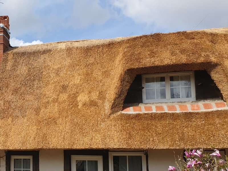 découvrez les avantages et les inconvénients des toits en chaume dans notre guide complet. apprenez comment ce matériau traditionnel peut rehausser l'esthétique de votre maison tout en pesant les enjeux de durabilité et d'entretien. idéal pour ceux qui envisagent un toit en chaume!