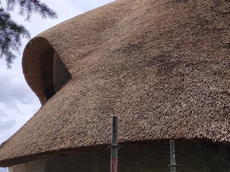 découvrez les avantages et les inconvénients des toits en chaume. apprenez tout sur leur durabilité, leur esthétisme, et leur impact environnemental pour faire un choix éclairé concernant votre toiture.