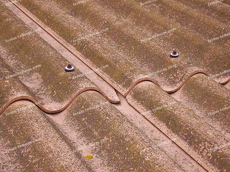 découvrez les avantages du toit en everite, une solution durable et esthétique pour vos projets de construction. sa résistance et son faible entretien en font un choix idéal pour tous types d'habitations.