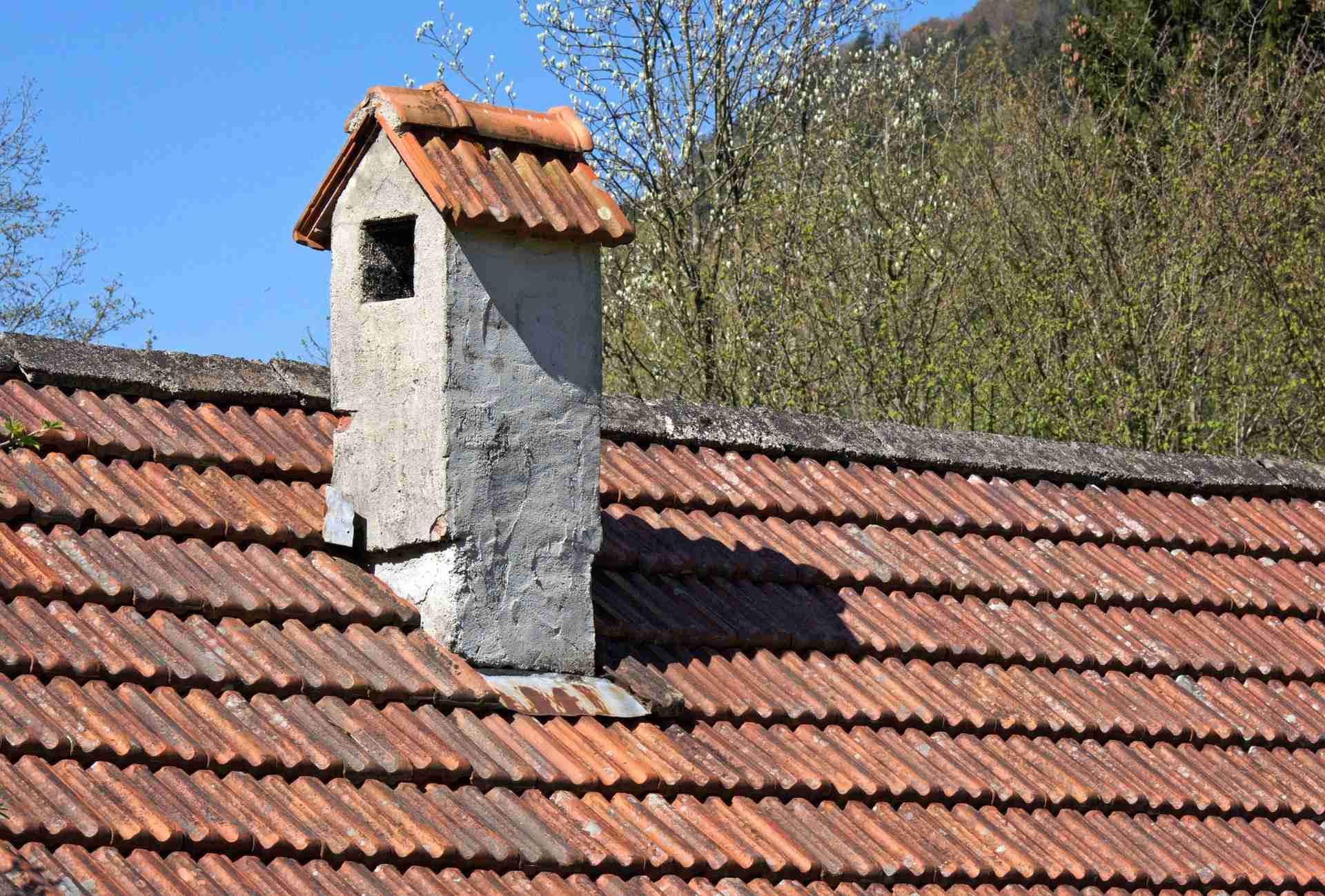 découvrez les avantages et caractéristiques des toits en pente, une solution esthétique et fonctionnelle pour votre maison. apprenez-en plus sur les matériaux, l'isolation et l'entretien de ce type de toiture.
