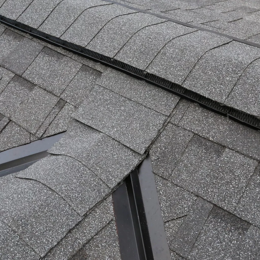 découvrez les avantages des toits en shingle : durabilité, esthétique et facilité d'entretien. transformez votre maison avec cette solution de couverture populaire et apprenez comment choisir le bon matériau pour votre projet.