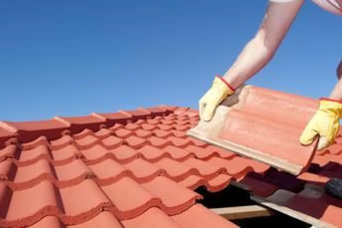 découvrez les avantages des toits en shingle : durabilité, esthétique et options variées. apprenez comment ce revêtement de toiture peut transformer votre maison tout en offrant une protection optimale contre les intempéries.