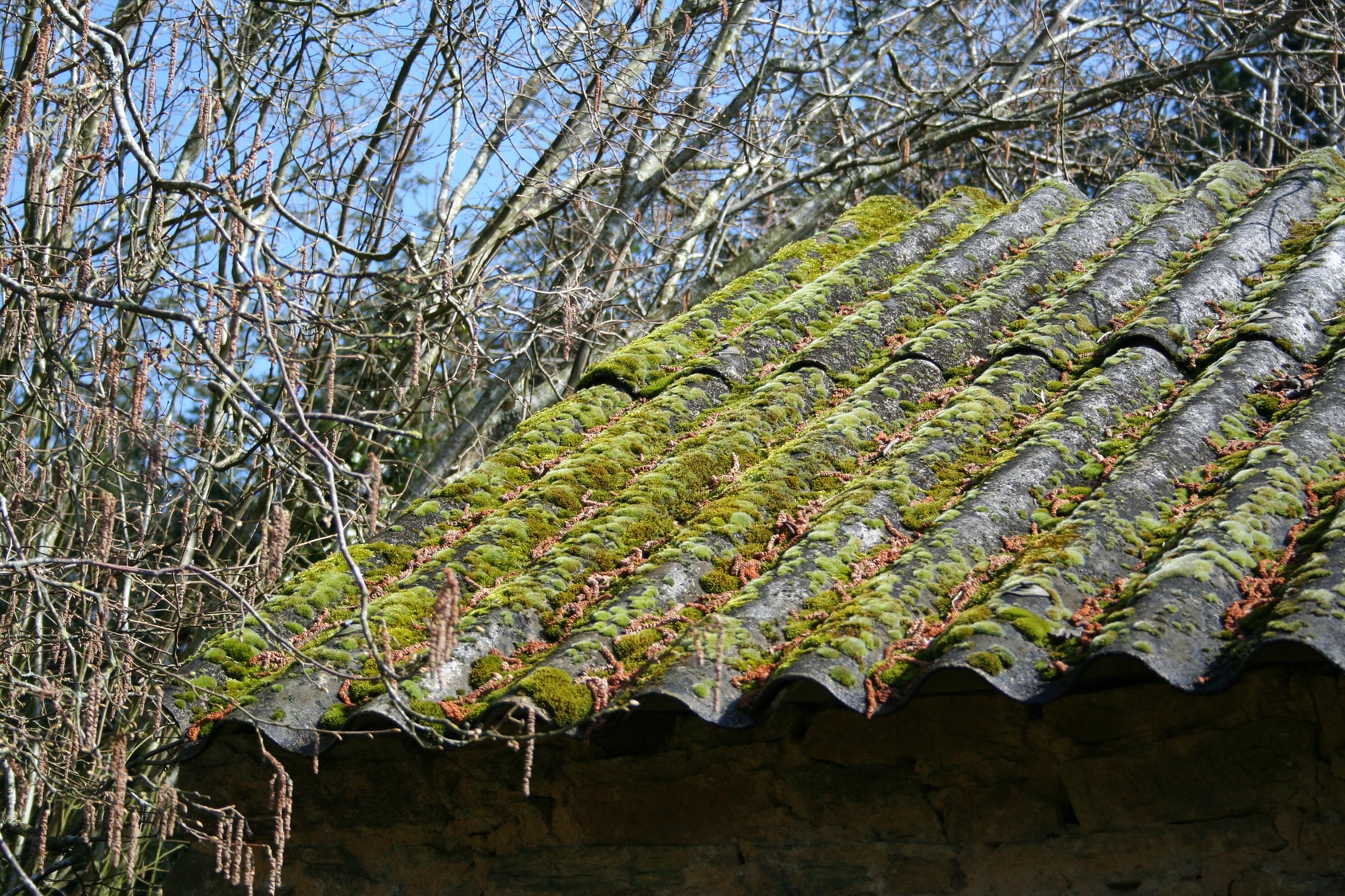 découvrez les avantages du toit éverite, une solution durable et esthétique pour votre bâtiment. résistant aux intempéries et facile à entretenir, ce matériau innovant assure une protection optimale tout en offrant une large gamme de styles et couleurs.