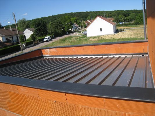 découvrez comment optimiser l'aménagement de votre garage avec un toit en bac acier. ce matériau durable et économique offre une excellente protection contre les intempéries tout en ajoutant une touche moderne à votre espace de rangement. idéal pour une construction robuste et esthétique, le toit en bac acier est le choix parfait pour un garage fonctionnel et élégant.