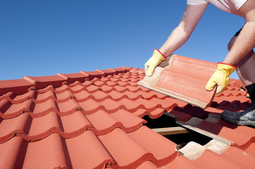 découvrez les avantages des toits légers : une solution innovante alliant performance, esthétisme et durabilité. idéaux pour vos projets de construction, les toits légers réduisent le poids des structures tout en offrant une isolation optimale et une facilité d'installation.