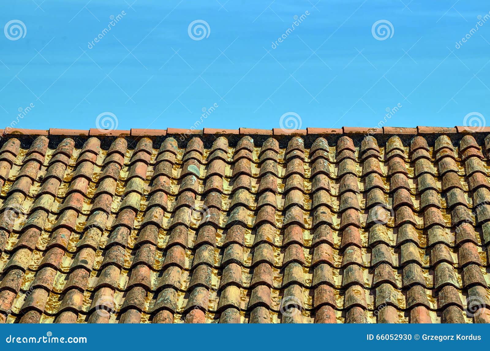 découvrez le patrimoine architectural unique des toits des moines, témoins silencieux d'une histoire riche et fascinante. plongez dans l'univers spirituel et artistique de ces structures emblématiques, conçues pour inspirer la méditation et la sérénité.